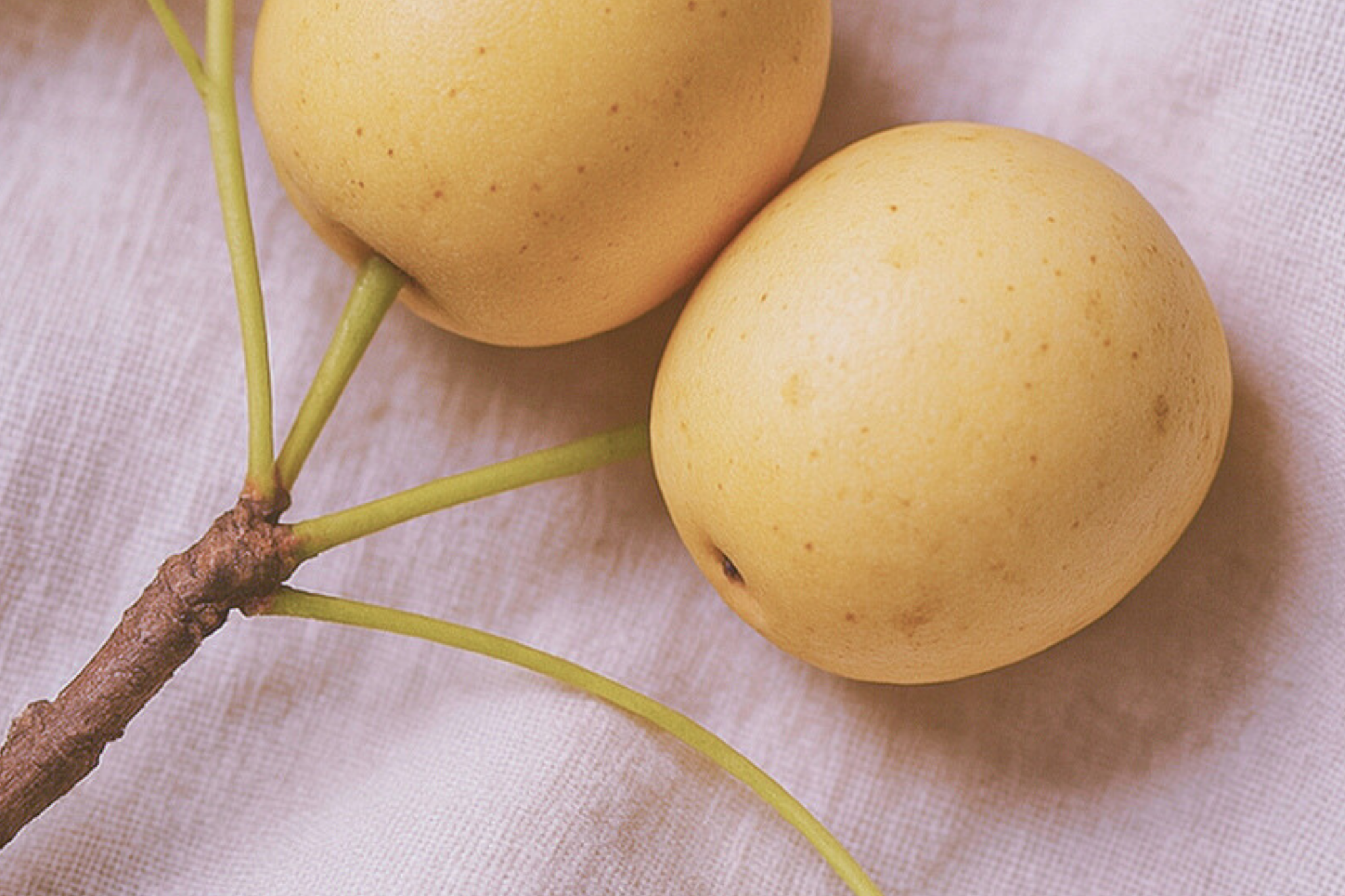 1 branche de marula contenant deux fruits, posée sur un drap de coton blanc.