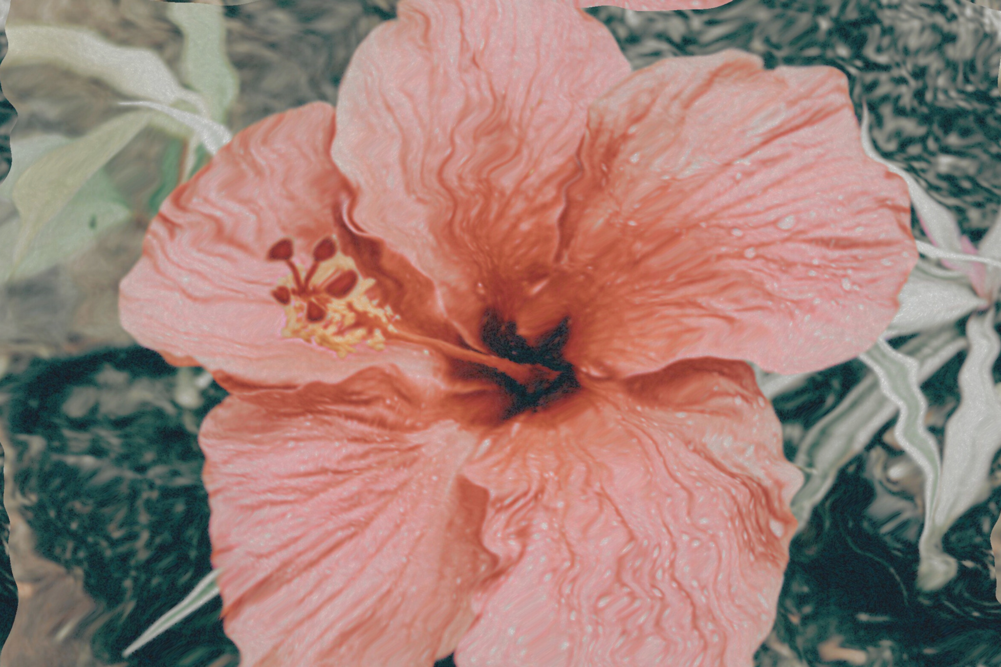 Fleur d'hibiscus dans de l'eau.