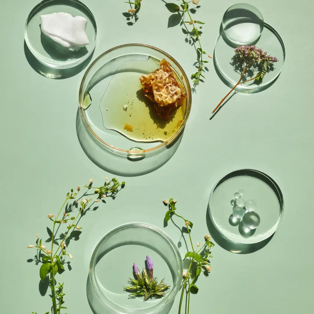 Sur un fond vert clair, des herbes fines et des coupoles en verre transparent, contenant du miel, une texture crème et des herbes.