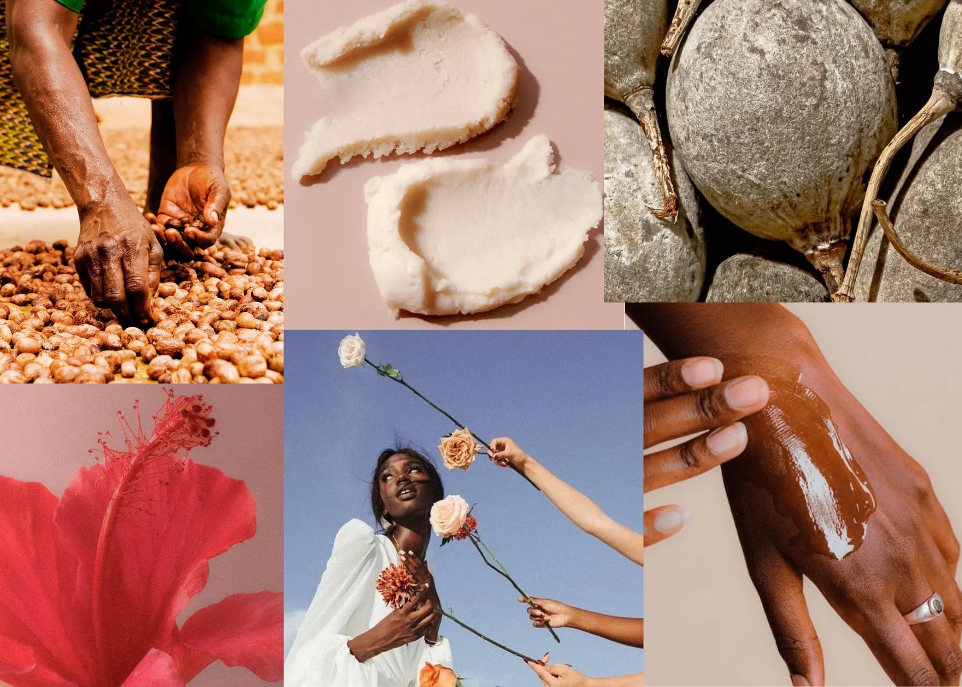 Caneva de photos. Une femme noire tri des grains de karité, beurre de karité graines de karité, fleur d'hibiscus, une magnifique femme noire, une femme noire étale de l'huile sur sa main.